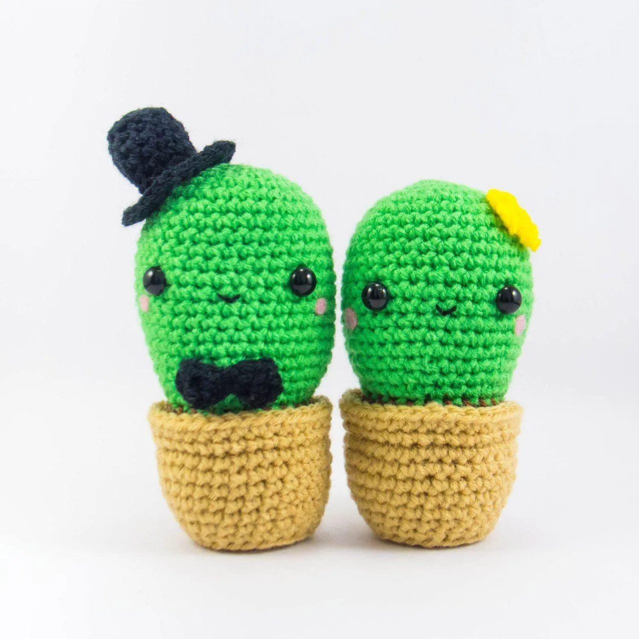Cactus Couple Amigurumi Kit