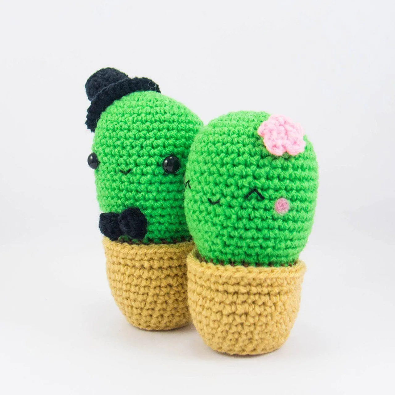 Cactus Couple Amigurumi Kit