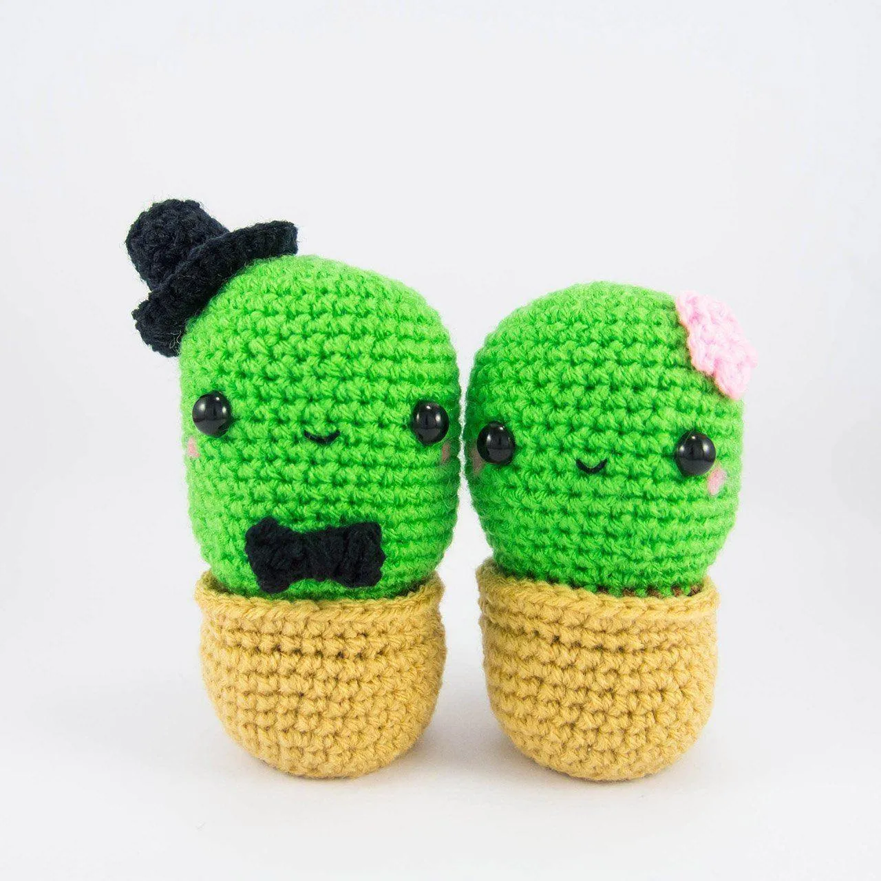 Cactus Couple Amigurumi Kit