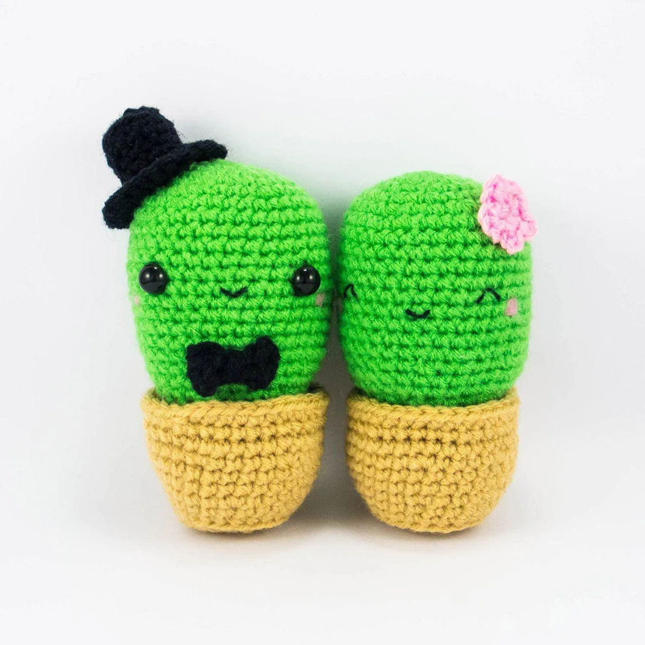 Cactus Couple Amigurumi Kit