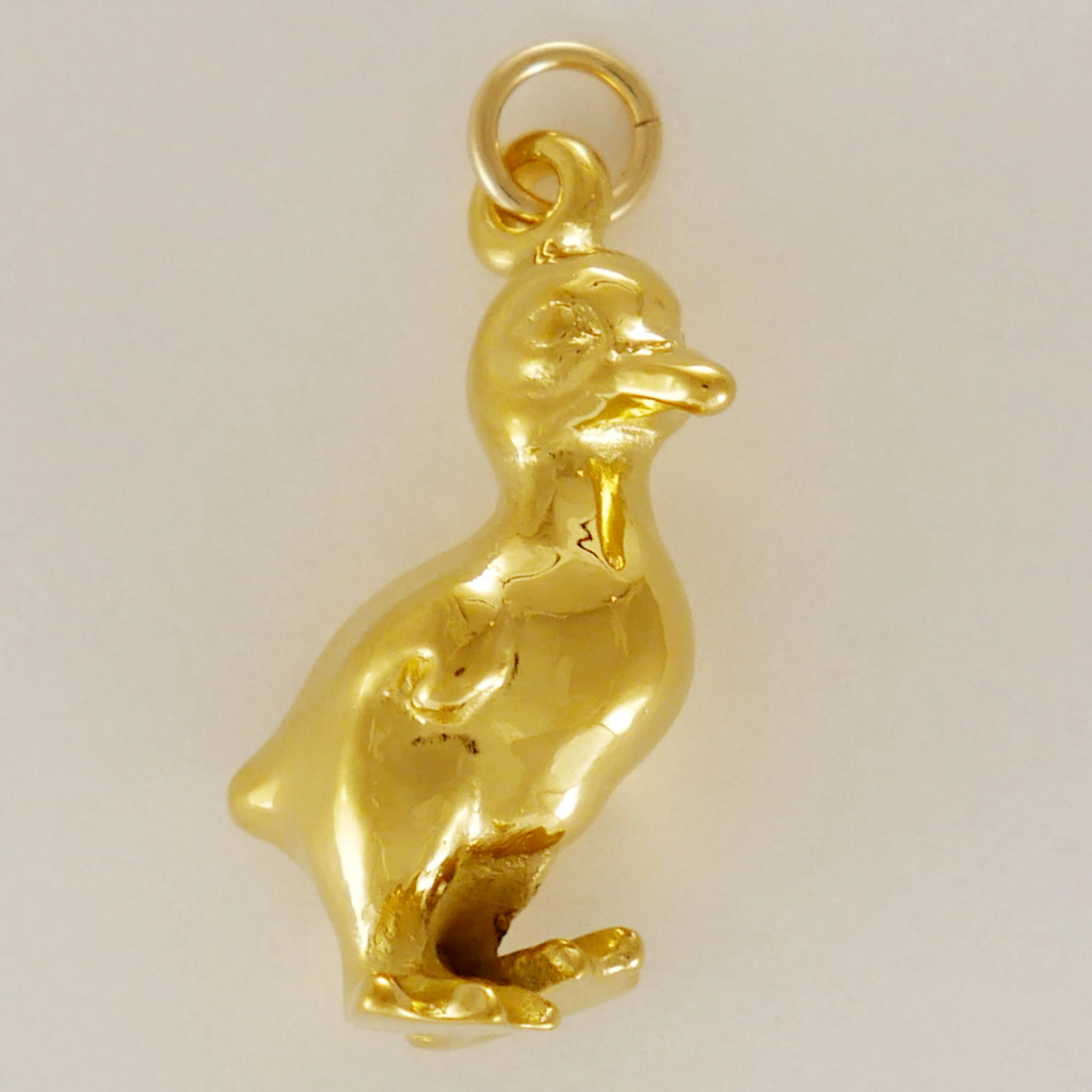 Duckling Charm