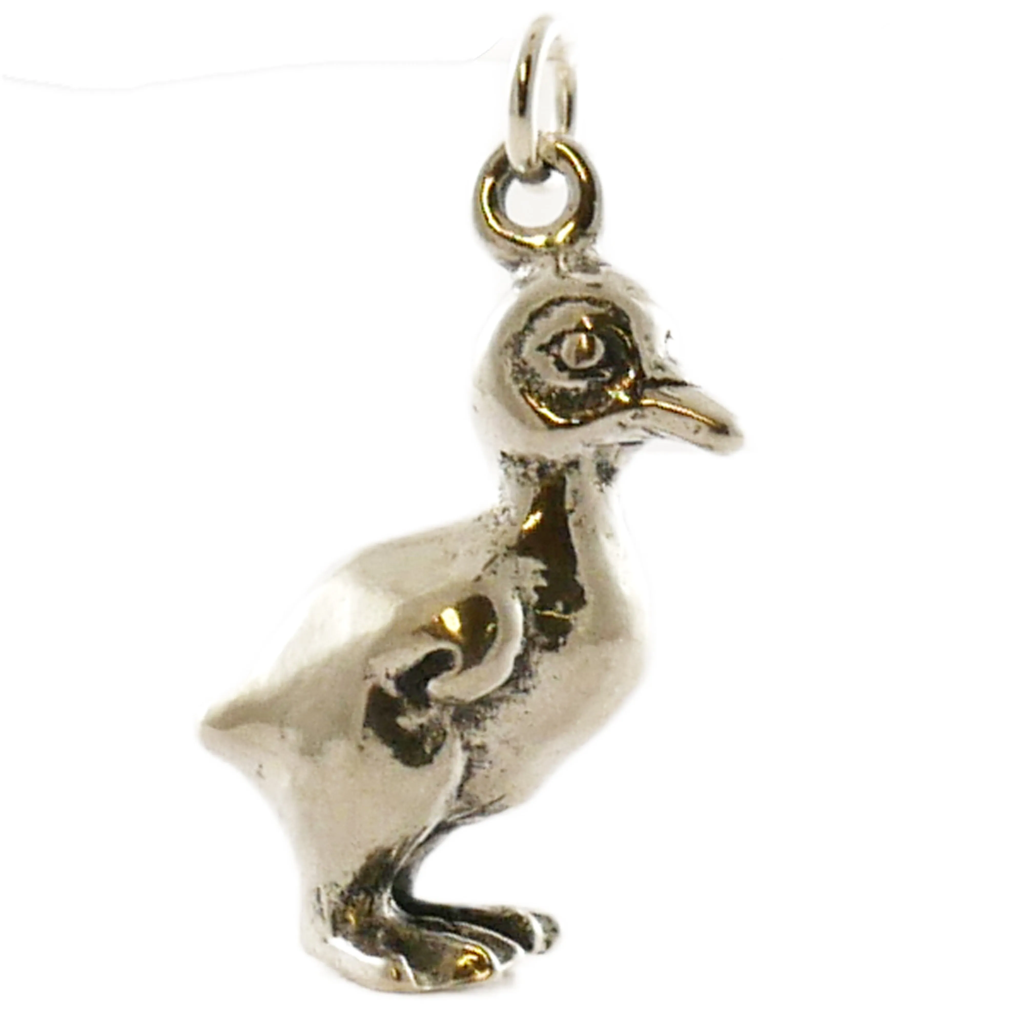 Duckling Charm
