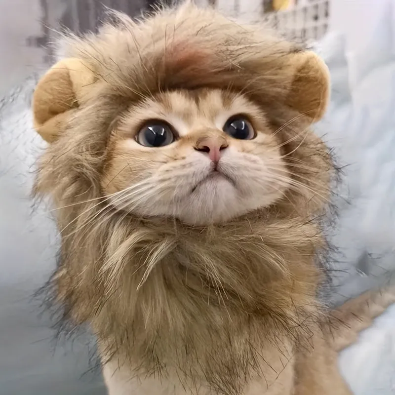 Hilarious 1pc Lion Cat Hat Perfect Pet Cosplay
