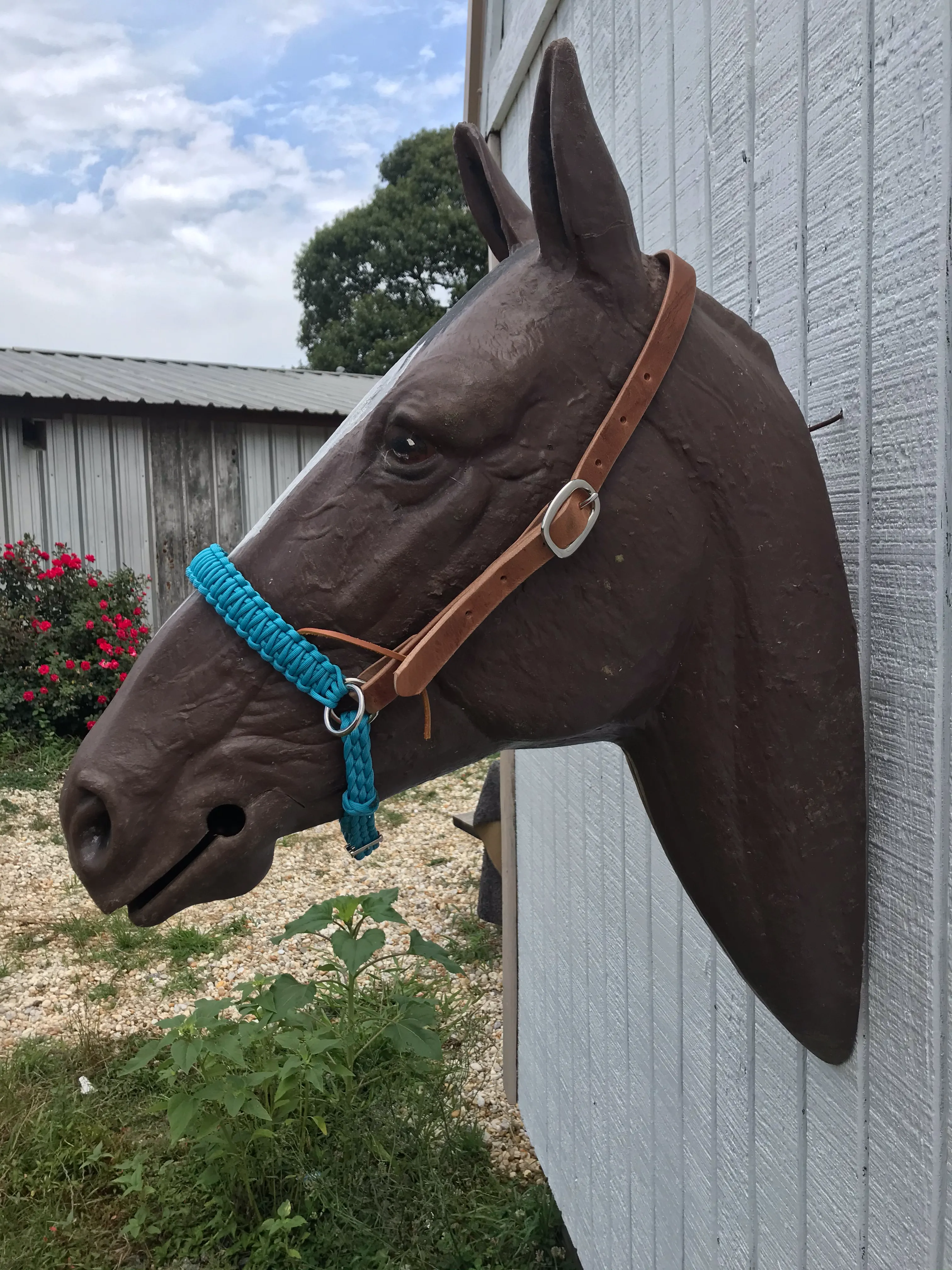 leather and paracord simple bitless bridle