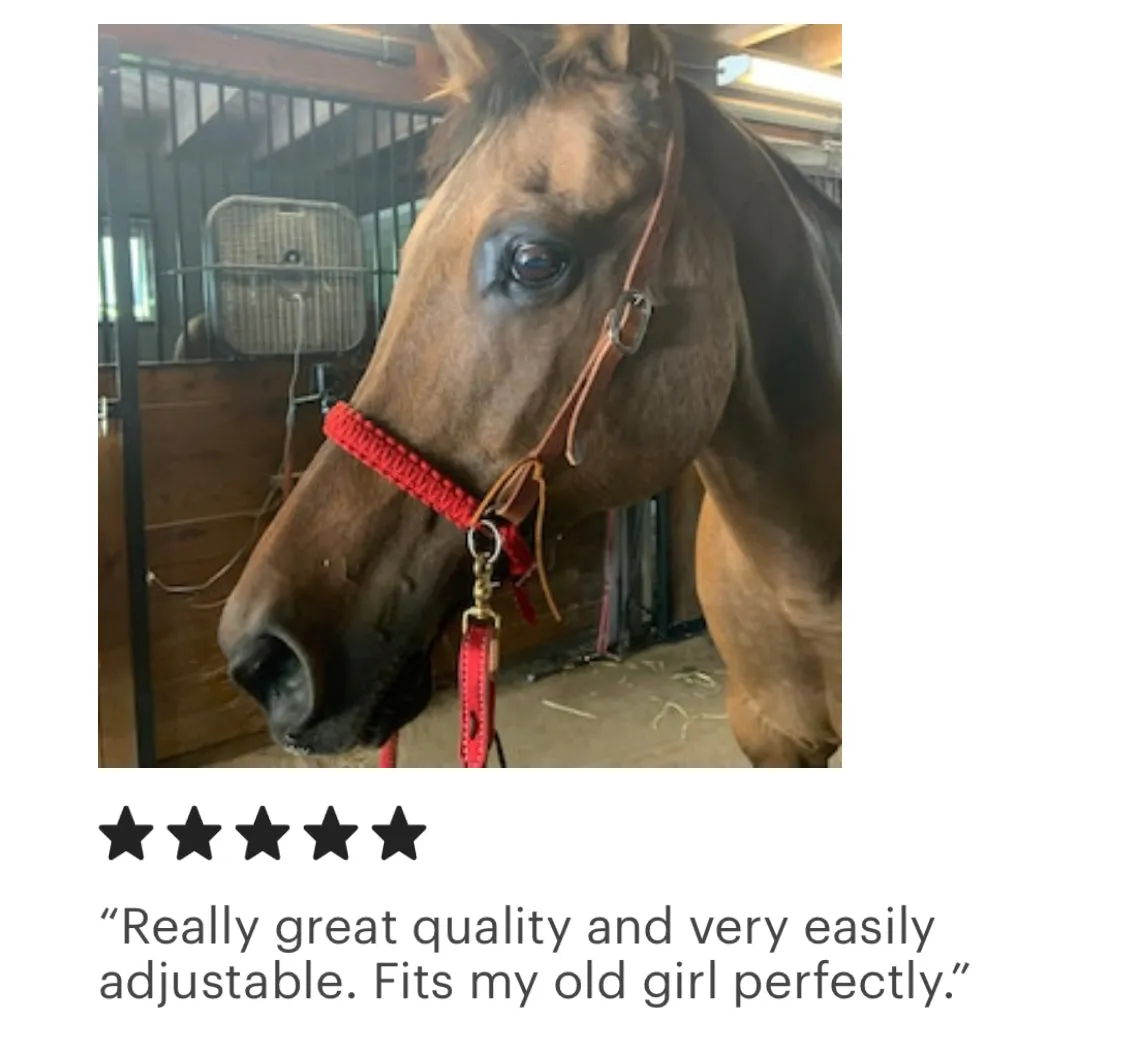 leather and paracord simple bitless bridle